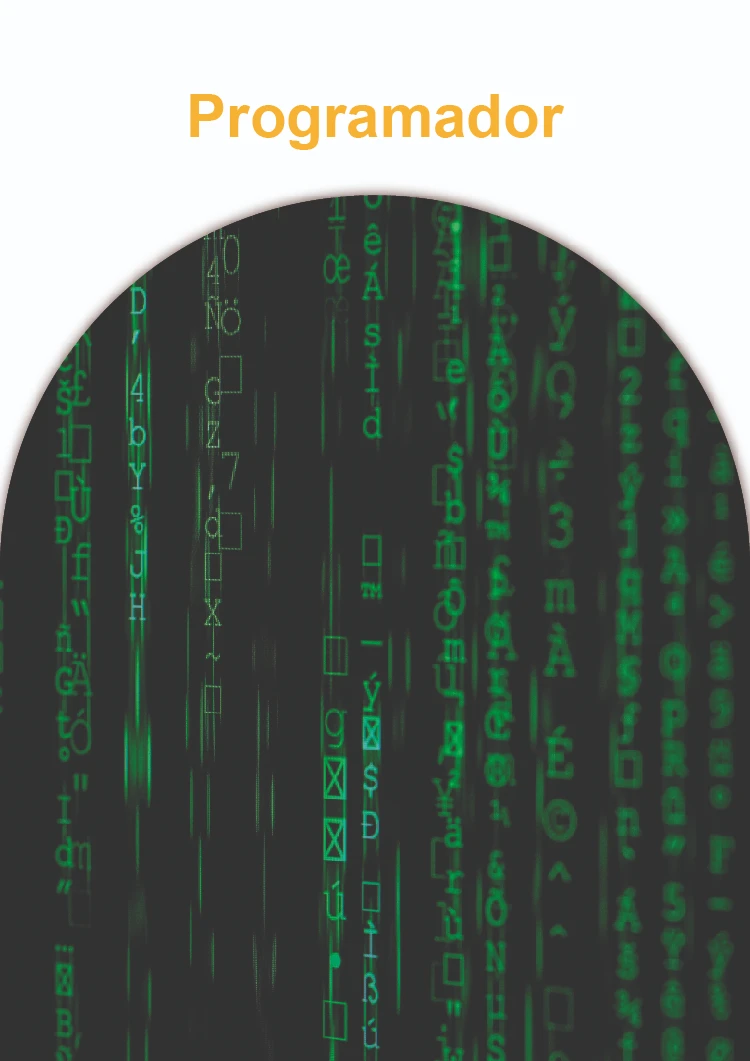 Programador