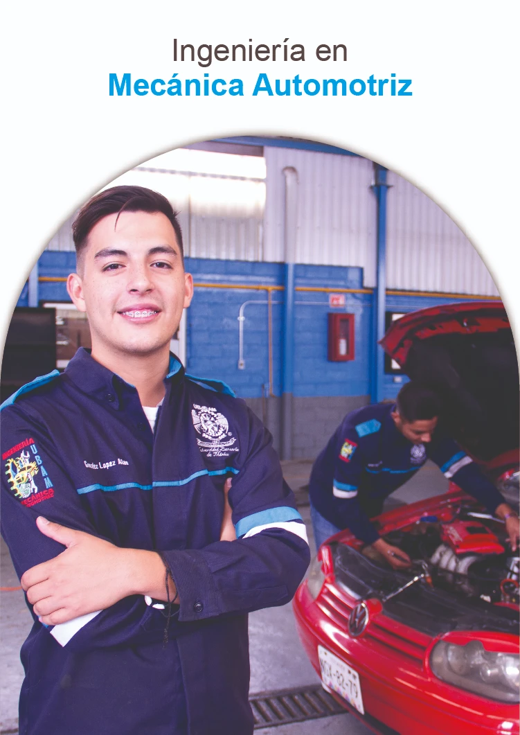 Descripción de la imagen